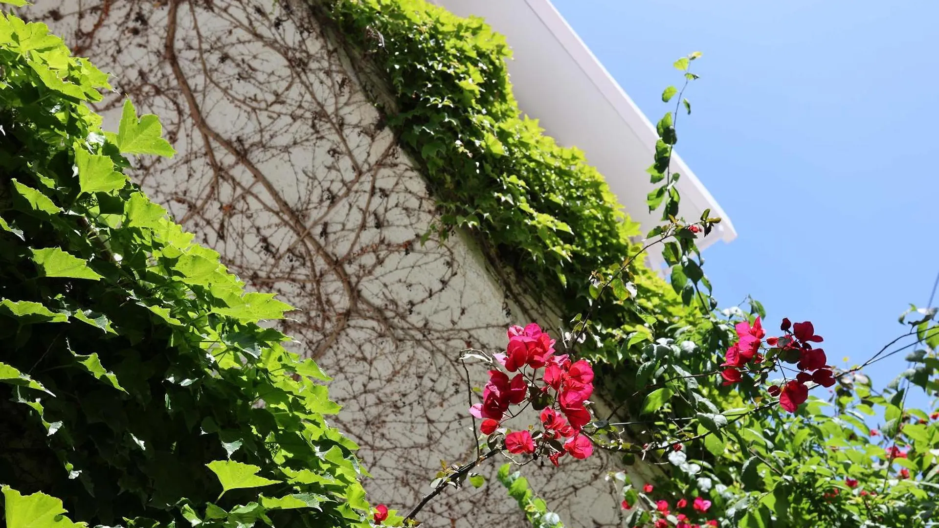 Hotel&Villas Olympic Kosmas CChanioti